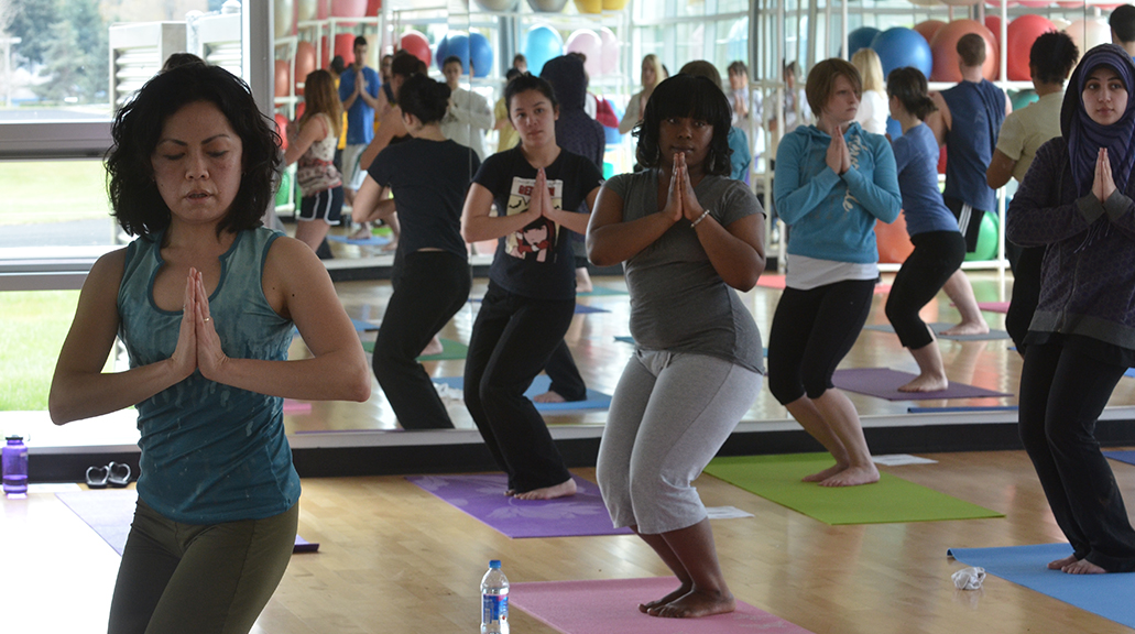 A group of students practicing yoga